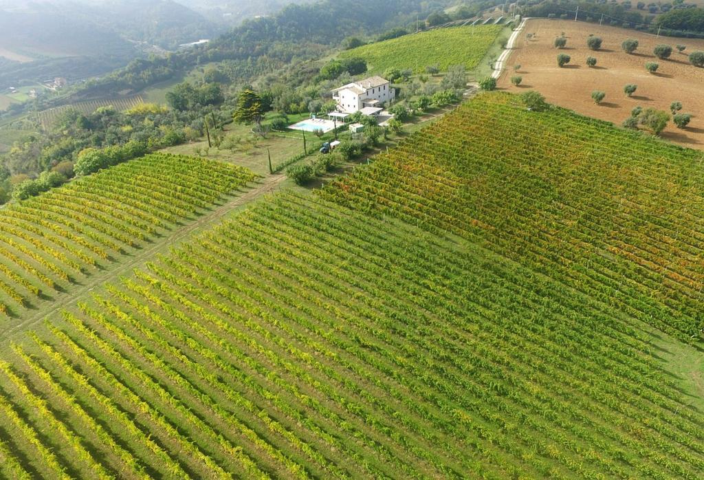 Villa Marchetti คูปรา มาริตติมา ภายนอก รูปภาพ